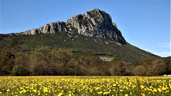 PIC SAINT LOUP